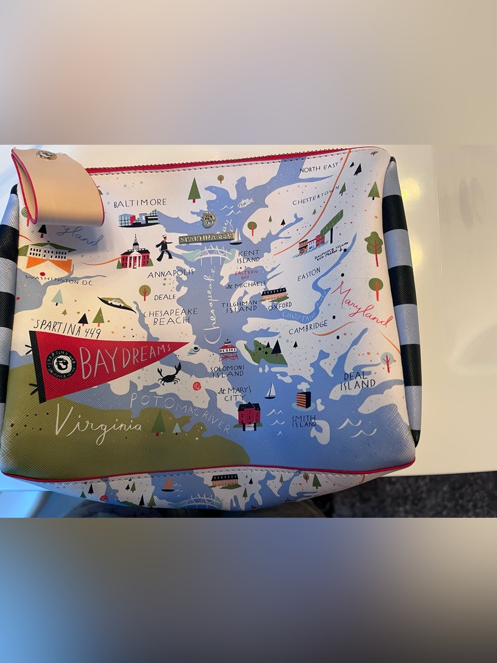 Bay Dreams Map Print Cosmetic Pouch - Blue, White, Green